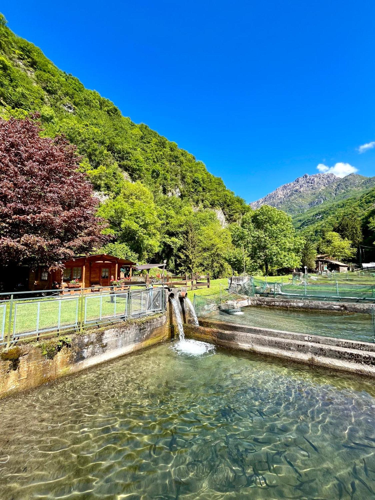 Agriturismo La Vecchia Chioderia Grandola ed Uniti Екстер'єр фото