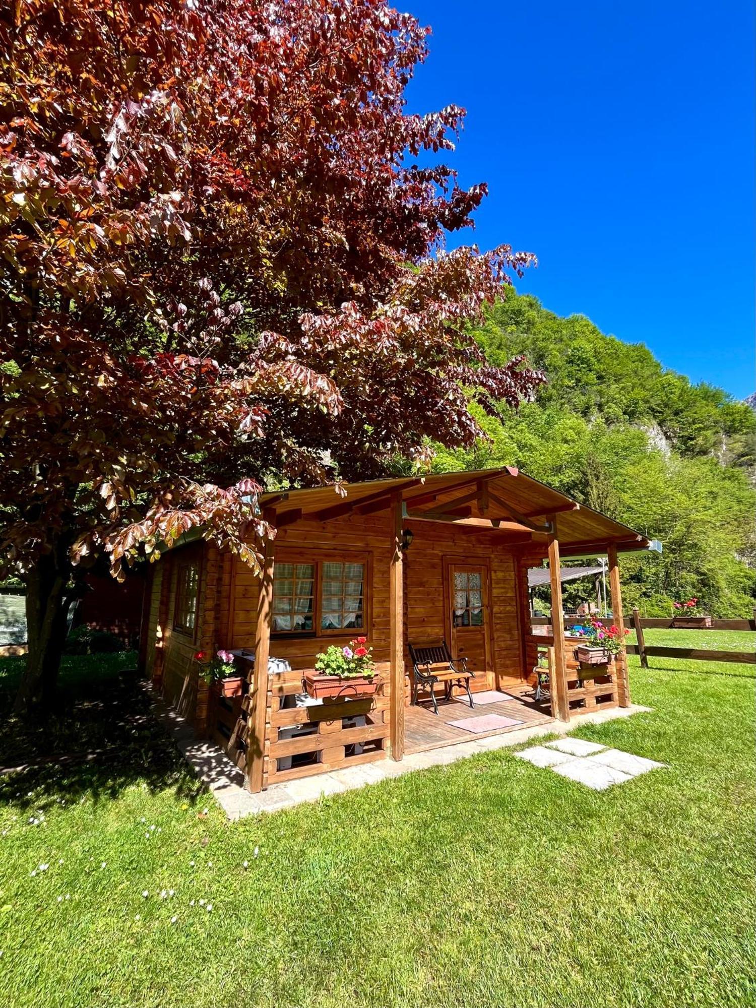 Agriturismo La Vecchia Chioderia Grandola ed Uniti Екстер'єр фото