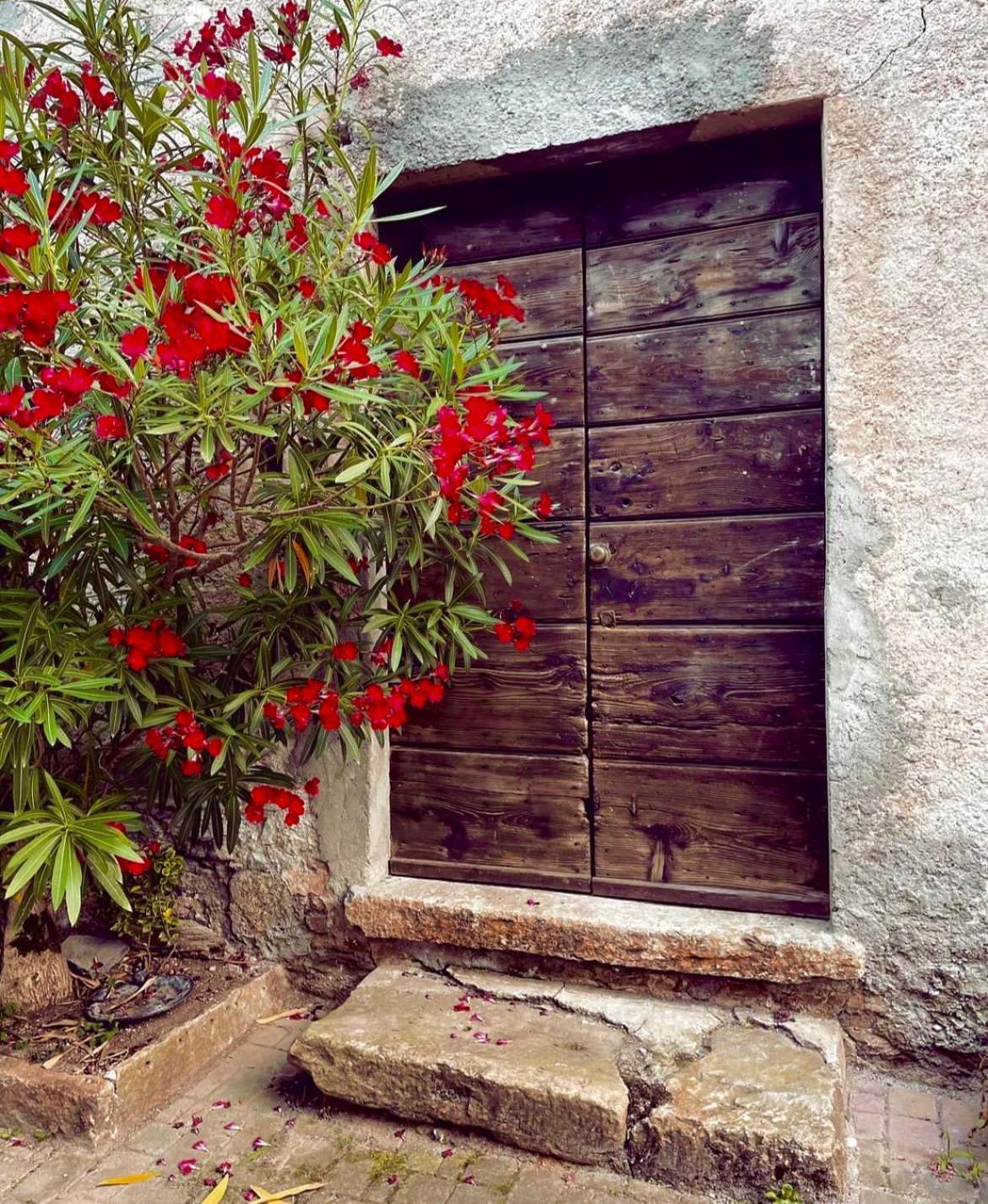 Agriturismo La Vecchia Chioderia Grandola ed Uniti Екстер'єр фото
