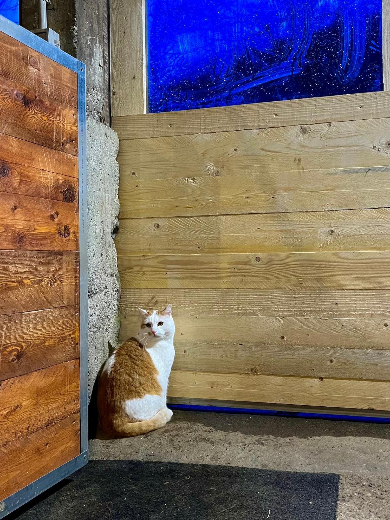 Agriturismo La Vecchia Chioderia Grandola ed Uniti Екстер'єр фото