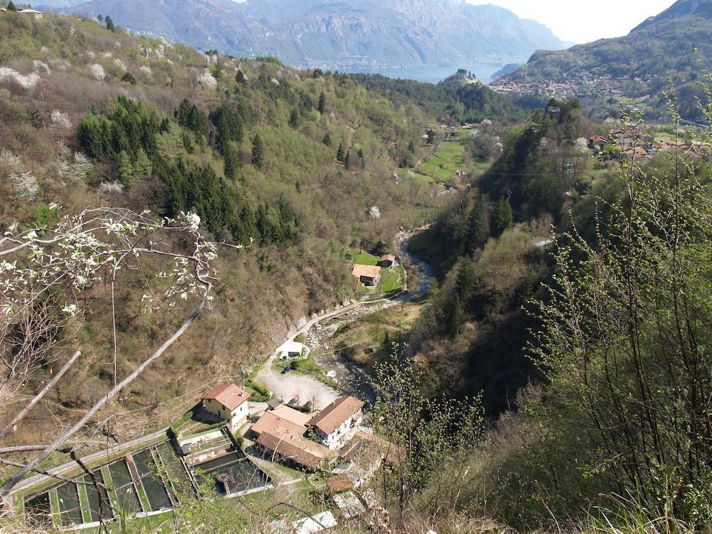 Agriturismo La Vecchia Chioderia Grandola ed Uniti Екстер'єр фото